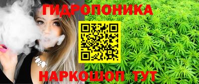 мдпв Дубна