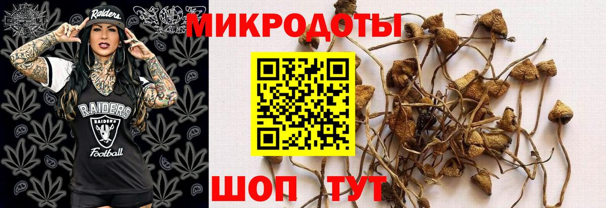 наркота  Галлюциногенные грибы Psilocybine cubensis  Мелеуз  Вход с VPN  Псилоцибиновые грибы GOLDEN TEACHER 